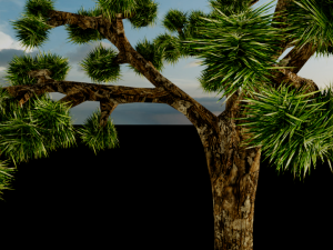 joshua tree Modelo 3D