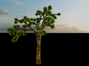 joshua tree Modelo 3D