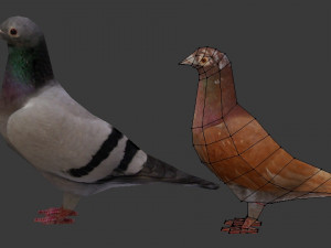 two pigeons Modèle 3D