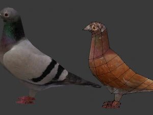 two pigeons 3D Model