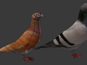 two pigeons Modèle 3D