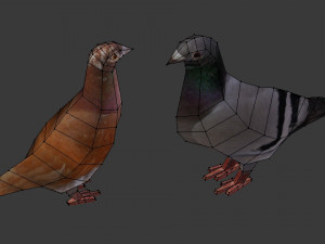 two pigeons Modèle 3D