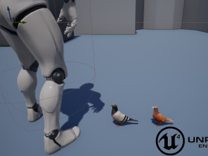 two pigeons Modèle 3D