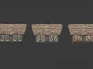 thatched house with a separate deck and variations 3D Model