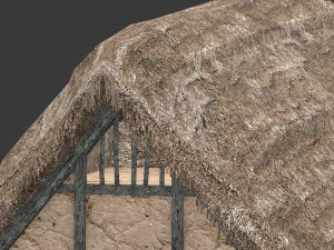thatched house with a separate deck and variations 3D Model