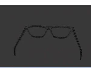 glasses 3D Model