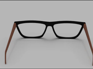 glasses 3D Model
