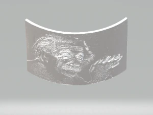 albert einstein lithophane 3D Print Model
