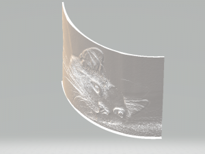 lithophane cat Modello di stampa 3D