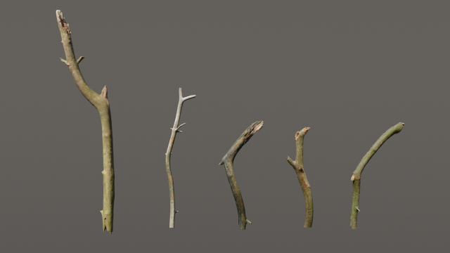 5 sticks pack 1 photoscanned Modelo 3D .c4d .max .obj .3ds .fbx .stl .blend 