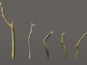 スティック5本パック スキャンした写真1枚 3Dモデル