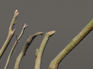 5 sticks pack 1 photoscanned Modelo 3D