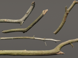 5 sticks pack 1 photoscanned Modelo 3D