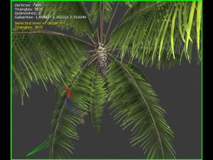 3D-palmboom 3D Model