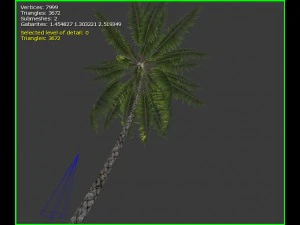 3D-palmboom 3D Model