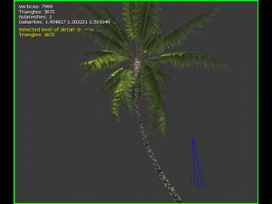 3D-palmboom 3D Model