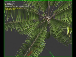 3d palm tree 3D 模型