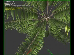 3D-palmboom 3D Model