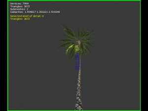 3D-palmboom 3D Model