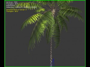 3d palm tree 3D 模型