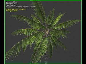 3D-palmboom 3D Model