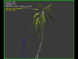 3D-palmboom 3D Model