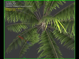 3D-palmboom 3D Model