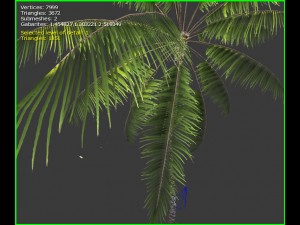 3d palm tree 3D 模型