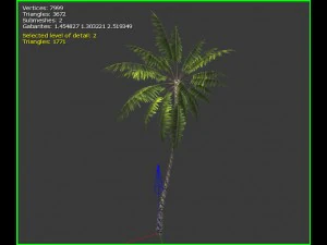 3D-palmboom 3D Model