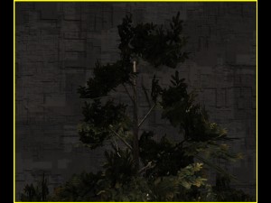 3d pine tree Modelo 3D