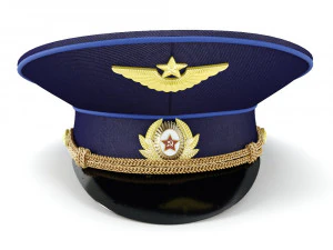 fly cap 3D Model