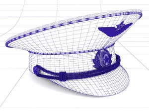 fly cap 3D Model