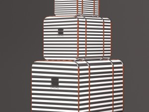 chest maritim 3-set 3D Модель