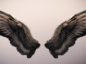 low poly animated dark angel wings Model 3D