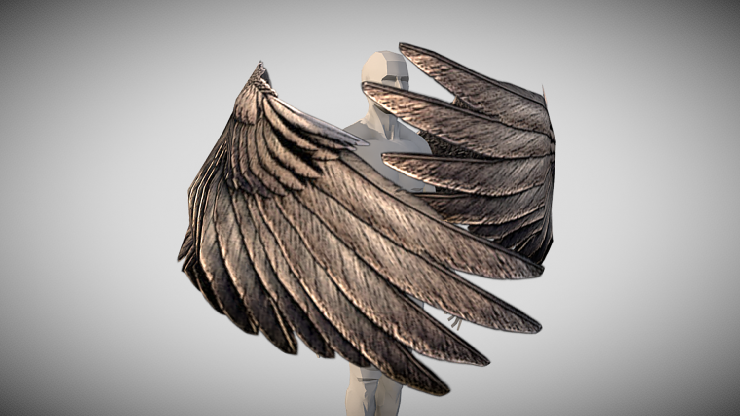 3d models wings