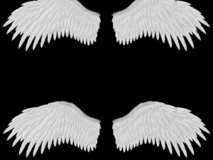 Animated Low Poly Golden Wings 3D Model