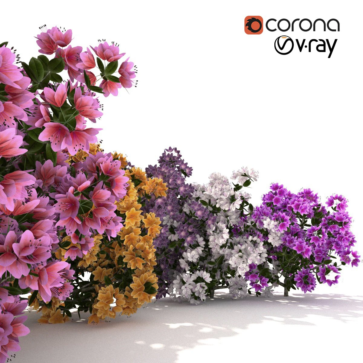 azalea kollection 3D Model .c4d .max .obj .3ds .fbx .stl .blend 