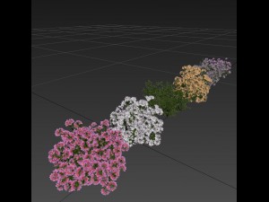 azalea kollection Modèle 3D