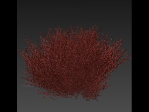 heather 3D Model