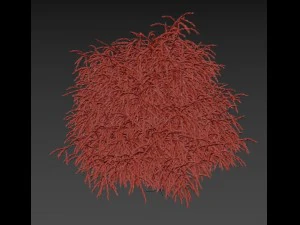 cryptomeria 3D Model