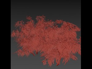 tamarix 3D Model