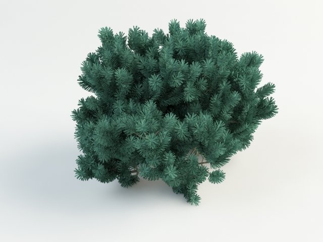 pinus01 3D Модель .c4d .max .obj .3ds .fbx .stl .blend 