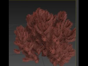 pinus01 3D Model