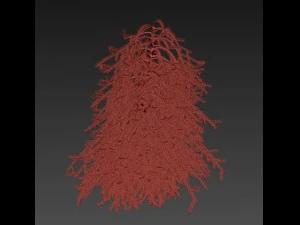 picea01 Modello 3D