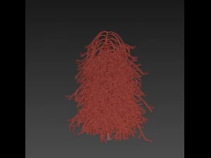 picea01 Modello 3D