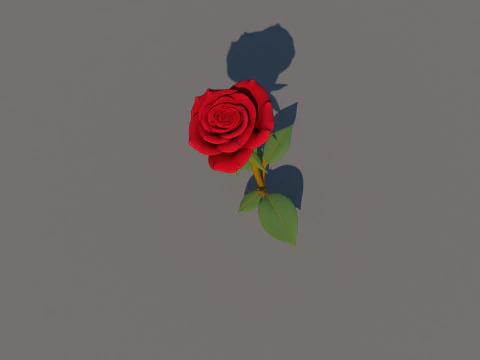 Rose Flower 3D Model
