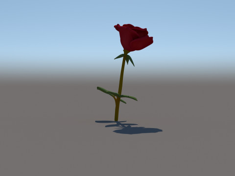 Fiore di rosa Modello 3D