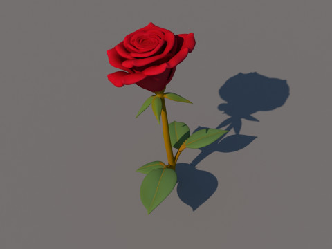 Fiore di rosa Modello 3D