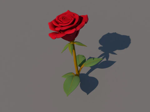 Rose Flower 3D Model