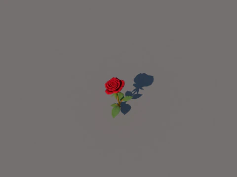 Rose Flower 3D Model